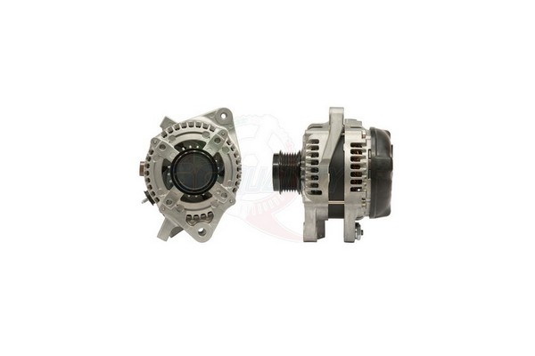 ALGE01555
