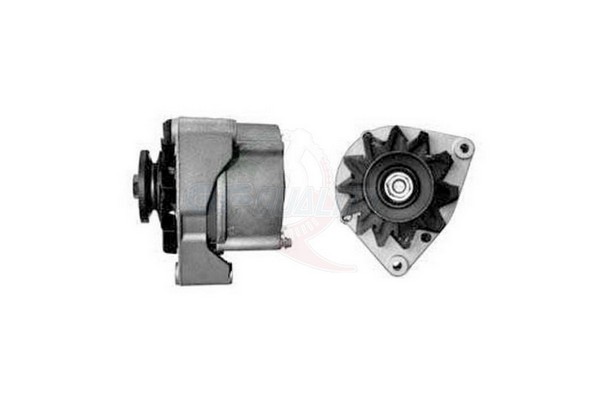 ALGE00965