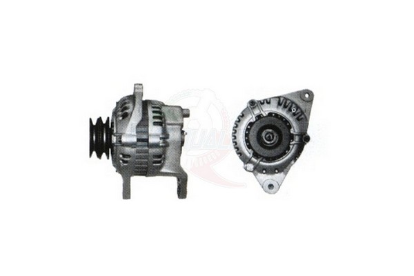 ALGE01273