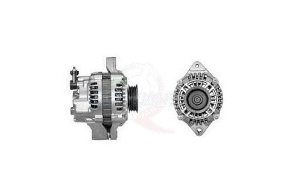 ALGE01303