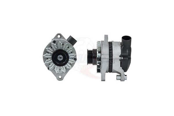 ALIT00013