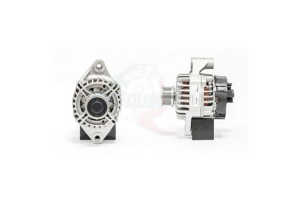 ALGE01769
