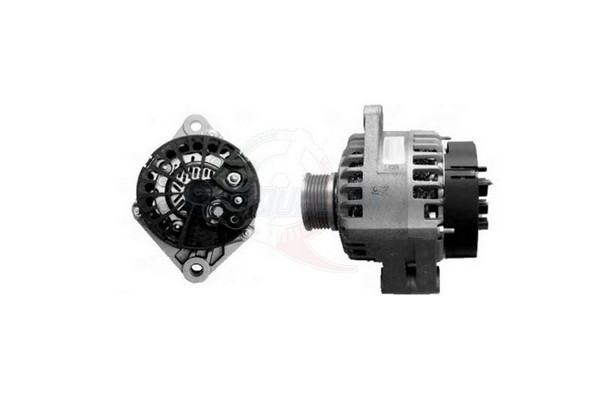 ALGE01366