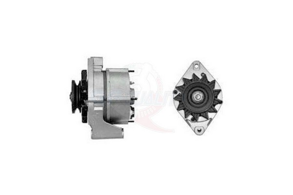 ALGE00974