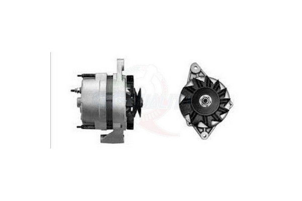 55579904