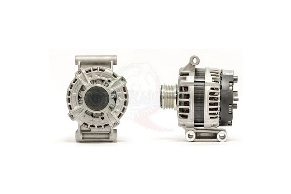 ALBO00146