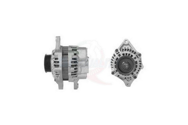 ALGE01347