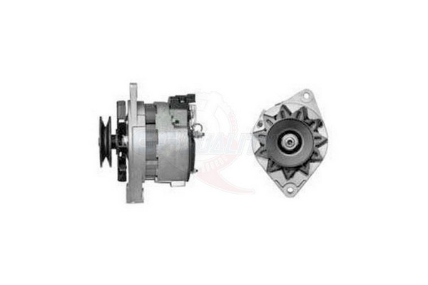 ALGE00839