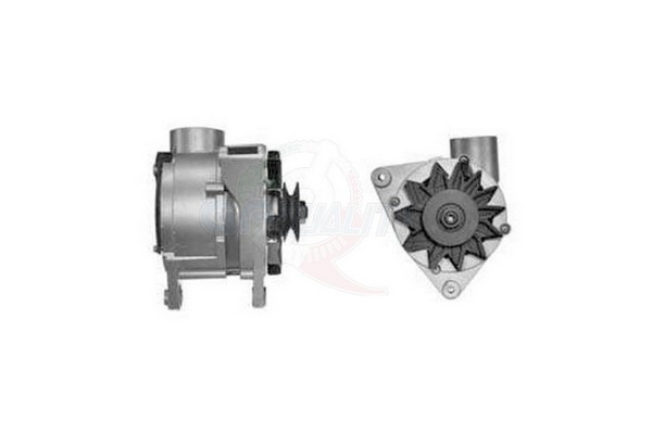 ALGE00892