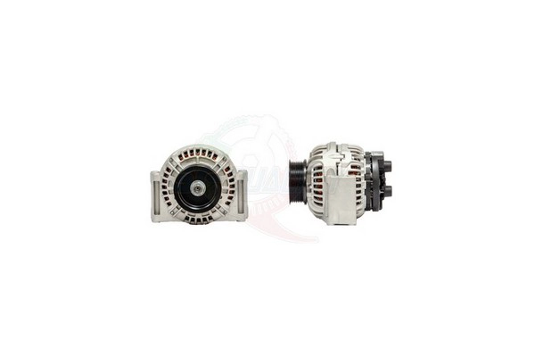 ALBO00124