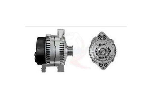 ALGE00298