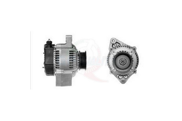 ALGE01252
