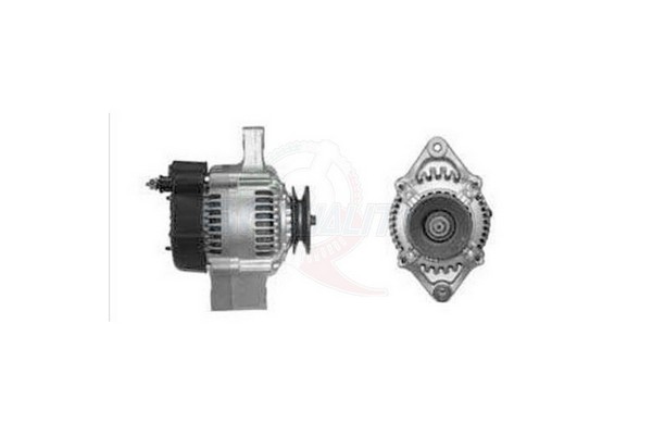 ALGE01253