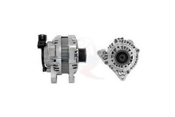 ALVA00979