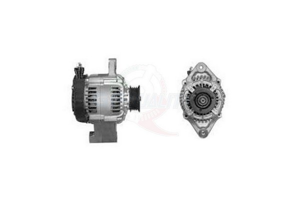 ALGE01264