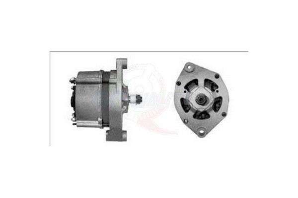 ALBO00126