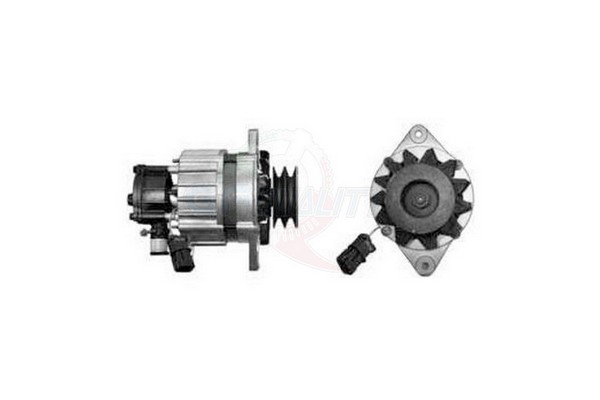 ALGE01150