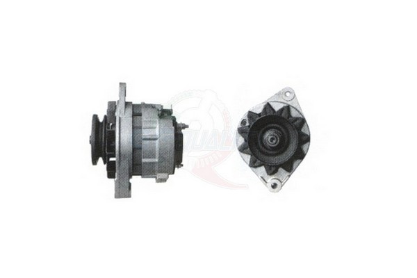 ALGE00973