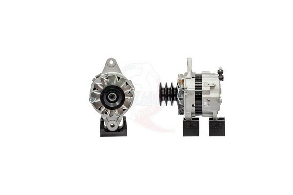 ALGE01546
