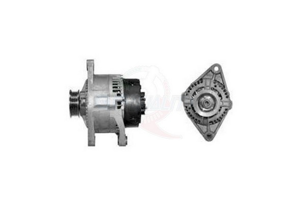 ALGE00370