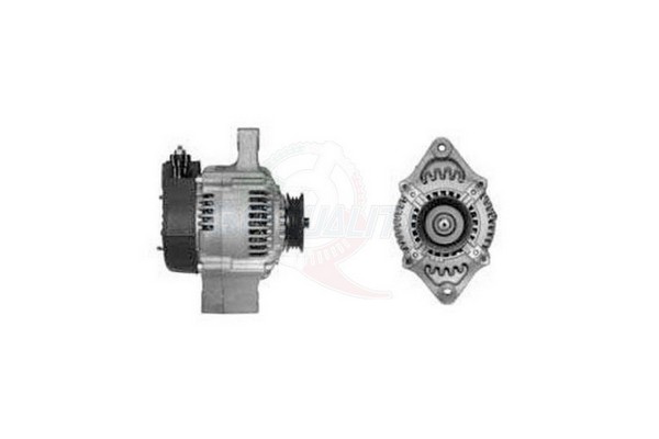 ALGE01258