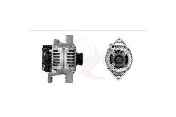 ALBO00169