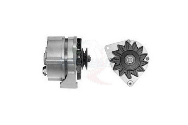 ALGE01669