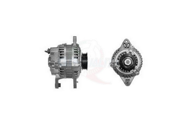 ALGE01246