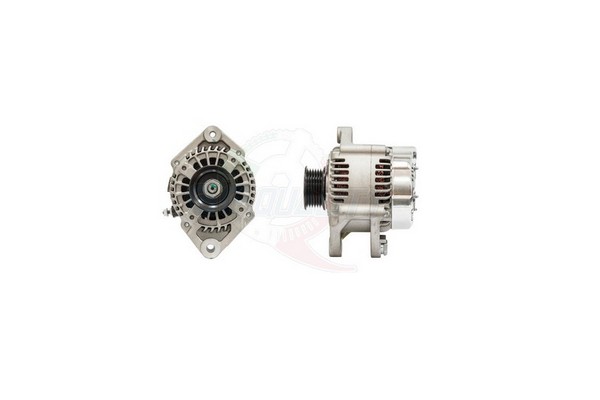 ALGE01679