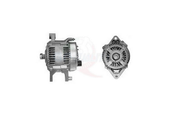 ALGE01690