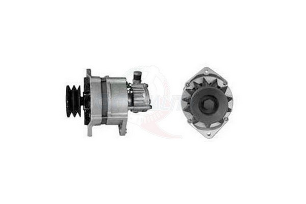 ALGE01169