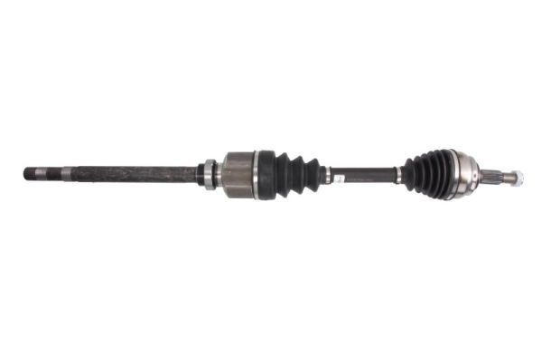 PNG74730