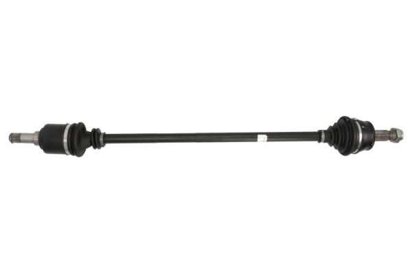 PNG73202