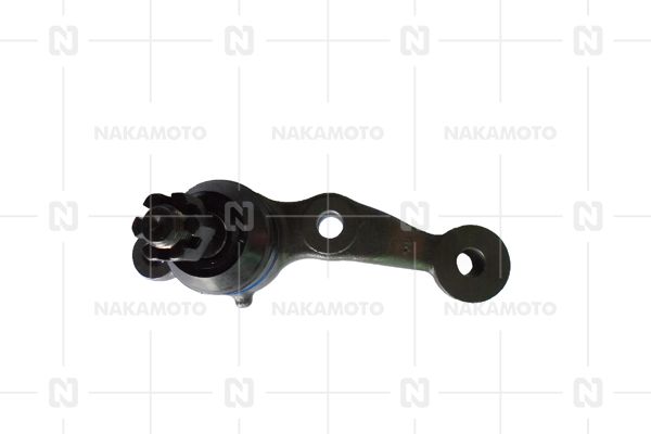 C01-LEX-18010009