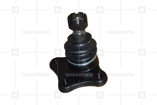 C01-MAZ-21030021