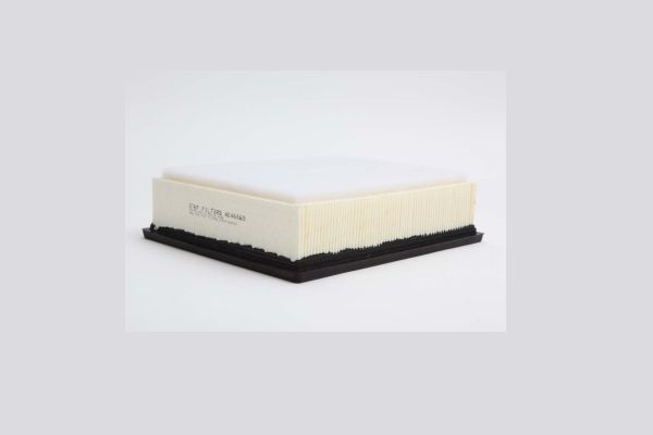 AE46865