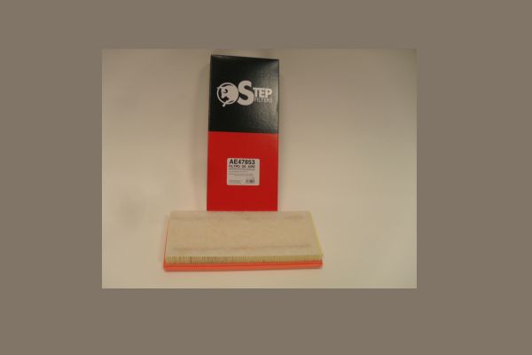 AE47853