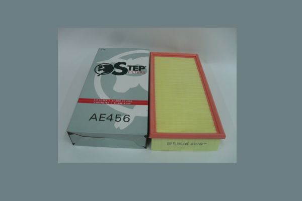 AE456