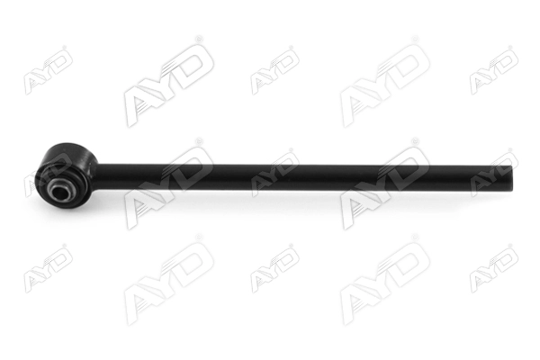LR019117-P1