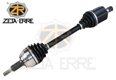 ZR12207