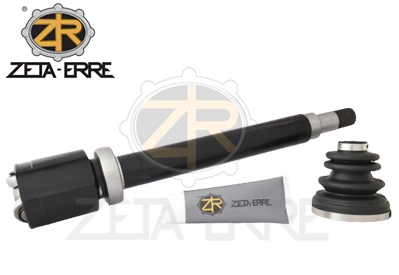 ZR8029