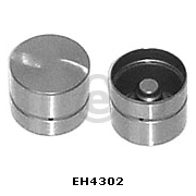 EH4302