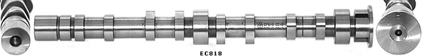 EC818