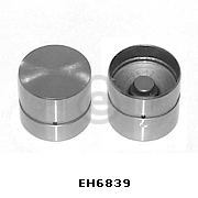 EH6839