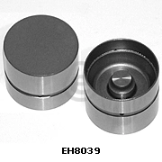 EH8039