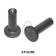 ET3198