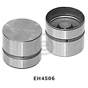 EH4506