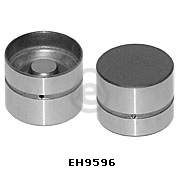 EH9596