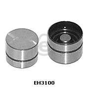 EH3100