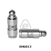 EH6013